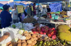 Chợ nông sản với nhiều cây trái Việt ở Clearwater, Florida