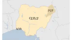 ናይጄሪያ