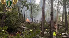 አውሮፕላኑ የተከሰከሰበት ጫካ ውስጥ በአደጋው ምክንተት የተቀጣጠለ እሳት