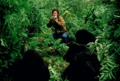 Sigourney Weaver en una escena de la película "Gorilas en la niebla".