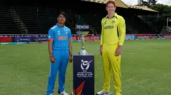 క్రికెట్