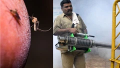 मलेरिया आजही धोकादायक का आहे? त्याची लक्षणं कोणती? उपचार आणि प्रतिबंधात्मक उपाय कोणते?