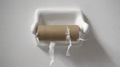 ਮੁੱਕਿਆ ਟੌਇਲਟ ਰੋਲ