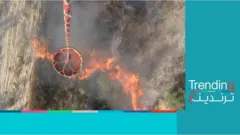 جدل بشأن من يقف وراء حرائق غابات سوريا