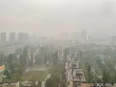 пил