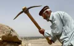 علی یاور