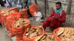 Stall selling old naan in Kabul
