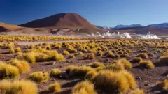 Atacama