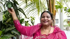 ছাদে আম চাষে সফল হতে যা করতে হবে