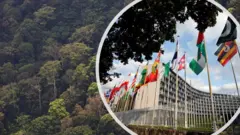 සිංහරාජ ලෝක උරුමය සහ යුනෙස්කෝ