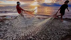 মৎস্য সম্পদ আহরনসহ নানা বিষয়ে পারস্পারিক সহায়তার সিদ্ধান্ত নিয়েছে বাংলাদেশ ও মালদ্বীপ