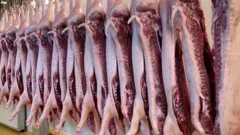 กรมปศุสัตว์