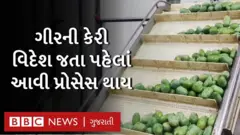કેરી
