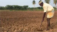 తెలంగాణ రెవెన్యూ వ్యవస్థ