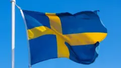 İsveç bayrağı