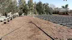 آرامستان جاوید تهران