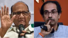 शरद पवार-उद्धव ठाकरे