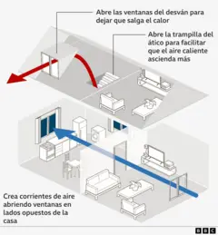 gráfico