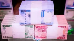 New naira notes