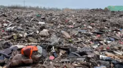 Um pequeno cachorro de brinquedo de plástico está sentado na beira de um enorme aterro sanitário, um monte de lixo misturado que desaparece na distância, onde o horizonte é pontilhado de árvores.