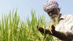 भारतीय किसान