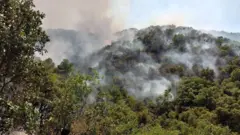 آتش سوزی در جنگل