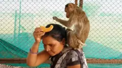 सर्पराज्ञी