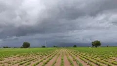 ગુજરાતમાં ચોમાસું ક્યારે આવશે?
