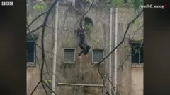 महाराष्ट्र बाढ़