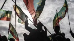 የኢትዮጵያ ሰንደቅ ዓላማ የያዙ ሰዎች 