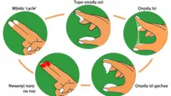 Nnyụsịta ọtụ
