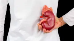 ኩላሊትዎን ለመጠበቅ የሚያግዙ 6 መንገዶች