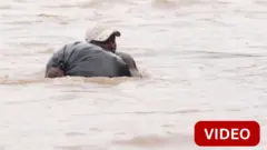 போராட்டக்குழுவில் கட்டாய ஆள் சேர்ப்பு... உயிரைப் பணயம் வைத்து நாட்டை விட்டு வெளியேறும் மக்கள்... டி.ஆர்.காங்கோவில் என்ன நடக்கிறது? 