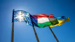Прапори ЄС, Угорщини та України