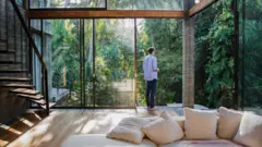 Homem olha a densa vegetação pela janela de casa.