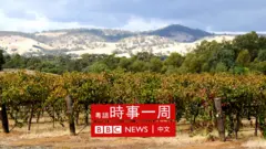 澳洲農場