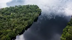 Vue aérienne de la forêt de tourbières à Lokolama/Penzele autour de Mbandaka, province de l'Équateur, RDC. Greenpeace Afrique documente la recherche au sol des données satellitaires sur les vastes zones de tourbières récemment découvertes par les scientifiques dans les marais de la forêt tropicale du Bassin du Congo, ainsi que les communautés affectées et l'environnement naturel. On estime que la région tropicale la plus riche en carbone au monde stocke l'équivalent de trois années de la totalité des combustibles fossiles mondiaux. Daniel Beltrá / Greenpeace Afrique 2017