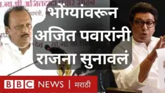 अजित पवार-राज ठाकरे
