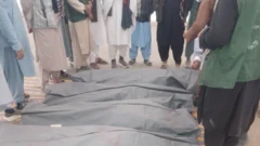 چند نفر در کنار جسدهایی که به تازگی از ایران به افغانستان منتقل شده ایستاده‌اند. اجساد درون کیسه قرار دارند. 