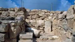 Раскопки в Араде
