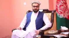 محب