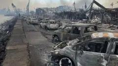 அமெரிக்காவில் காட்டுத்தீ