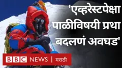 BBC