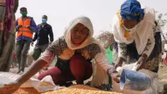 ዕደላ ሰብኣዊ ሓገዝ