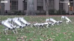 「ミニ・チータ」ロボットがバック転　サッカーも披露