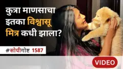 कुत्रा माणसाचा इतका विश्वासू मित्र कधी झाला? | सोपी गोष्ट