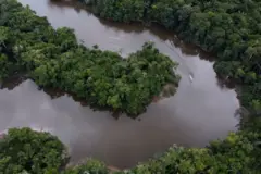 Uma foto aérea do rio Aguarico serpenteando em meio à densa vegetação da Amazônia