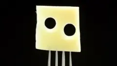 fromage suisse