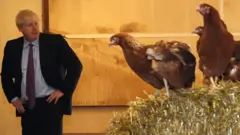 بوریس جانسون گفته بود بریتانیا را ۳۱ اکتبر از اتحادیه اروپا خارج می‌کند؛ مگر این‌که بمیرد