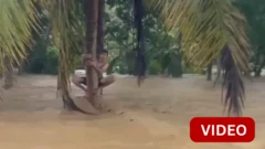 இந்தோனீசியா வெள்ளம் - வெள்ளத்தில் தவித்தவர் படகு மூலம் மீட்பு